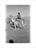 View of a member of ...