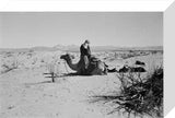 View of an Arab man ...