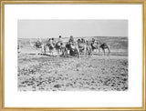 View of Wilfred Thesiger's travelling ...