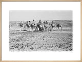View of Wilfred Thesiger's travelling ...