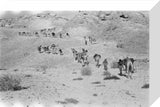 Wilfred Thesiger's party in the ...
