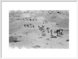 Wilfred Thesiger's party in the ...