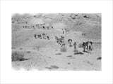 Wilfred Thesiger's party in the ...