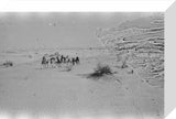 View of Wilfred Thesiger's party ...