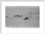 View of Wilfred Thesiger's party ...