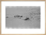 View of Wilfred Thesiger's party ...