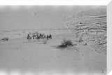 View of Wilfred Thesiger's party ...