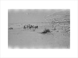 View of Wilfred Thesiger's party ...