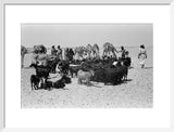 View of a Bedouin family ...