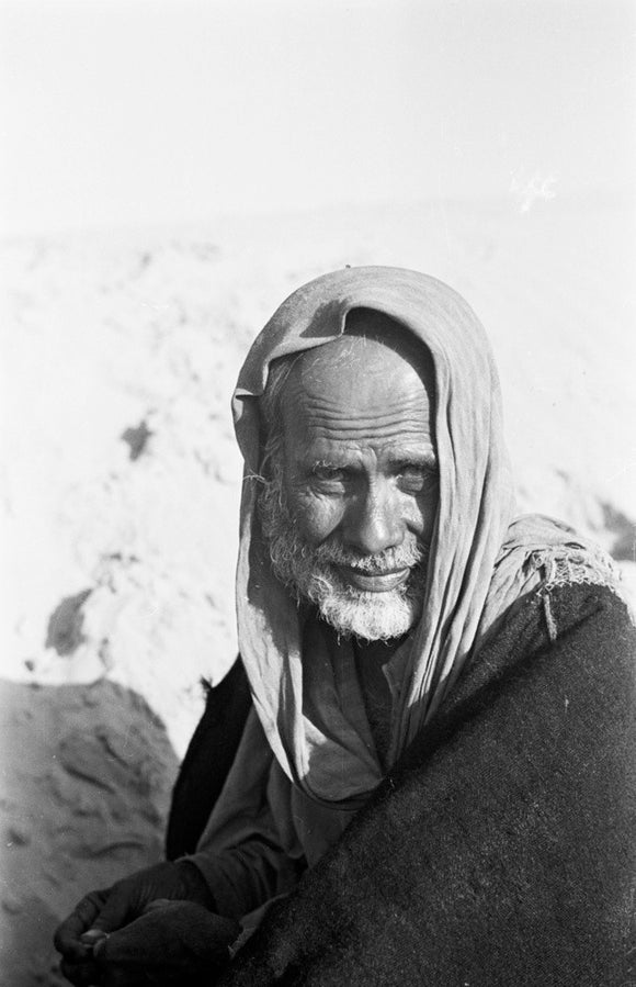 Seated portrait of a Bedouin ...