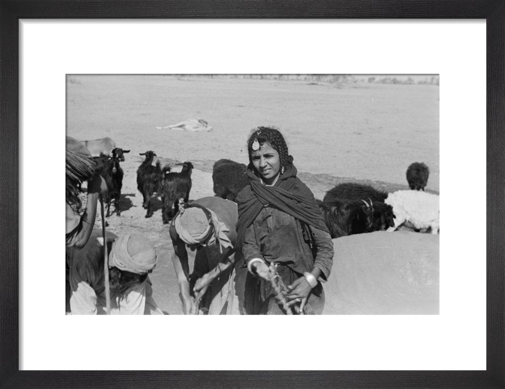 Portrait of a girl of ... – Pitt Rivers Museum Prints