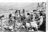 View of a people from ...