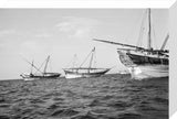 Side view of three kotias ...