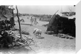 At Sabya. Two shelters on ...