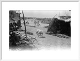 At Sabya. Two shelters on ...