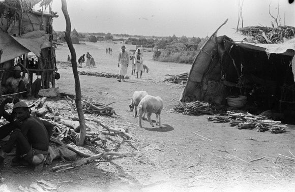 At Sabya. Two shelters on ...