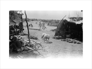 At Sabya. Two shelters on ...