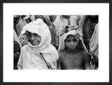 Close up portrait of two ...