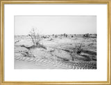 View of trees and vegetation ...