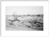 View of trees and vegetation ...