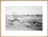 View of trees and vegetation ...
