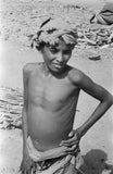 Portrait of a boy of ...
