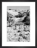 Portrait of two tribesmen and ...