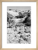 Portrait of two tribesmen and ...