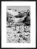 Portrait of two tribesmen and ...