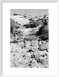 Portrait of two tribesmen and ...
