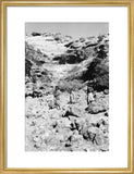 Portrait of two tribesmen and ...