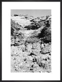 Portrait of two tribesmen and ...