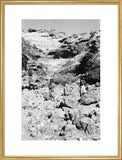 Portrait of two tribesmen and ...