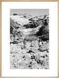 Portrait of two tribesmen and ...