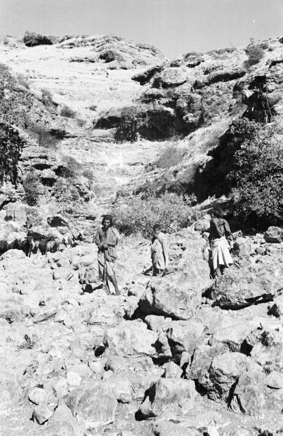 Portrait of two tribesmen and ...