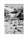 Portrait of two tribesmen and ...