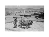 View of a man and ...