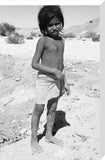 Portrait of a boy of ...