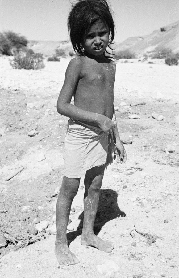 Portrait of a boy of ...