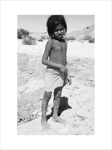 Portrait of a boy of ...