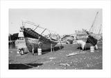 View of two beached sambuks ...