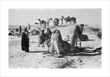 View of Wilfred Thesiger's party ...