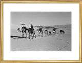 View of Wilfred Thesiger's travelling ...