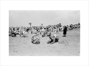 View of a crowd of ...