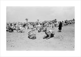 View of a crowd of ...