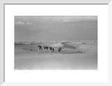 View of Wilfred Thesiger's party ...