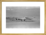 View of Wilfred Thesiger's party ...