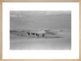 View of Wilfred Thesiger's party ...
