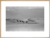 View of Wilfred Thesiger's party ...
