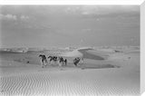 View of Wilfred Thesiger's party ...
